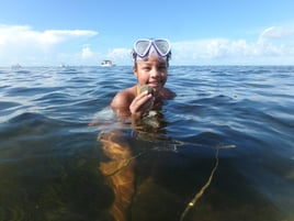 Scalloping in Apalachee Bay, FL (6 hrs)