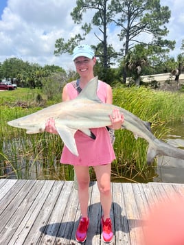 Quick bay/inshore fishing