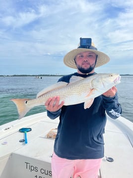 Quick bay/inshore fishing