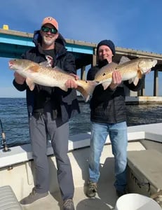 Redfish Fishing in Pensacola, Florida