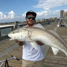 Redfish Fishing in Pensacola, Florida