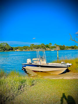 3 hour bay/inshore fishing