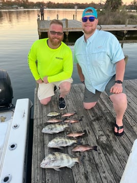 3 hour bay/inshore fishing