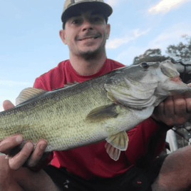 Largemouth Bass Fishing in Austin, Texas