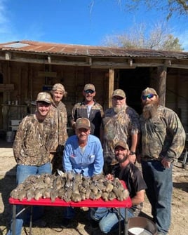 South Texas Doves and White Wings