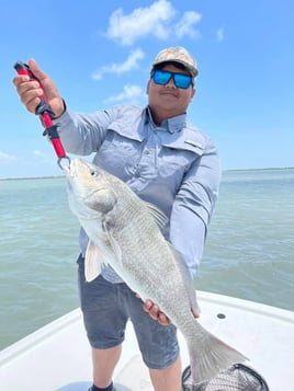 Black Drum Fishing in Port Isabel, Texas