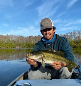 Bassfishing the Everglades