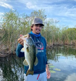 Bassfishing the Everglades