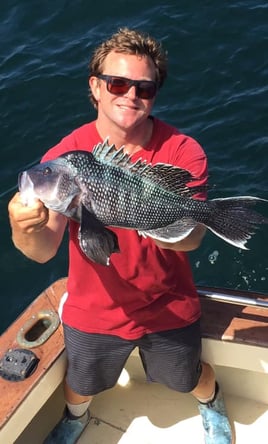 Block Island Black Seabass Trip