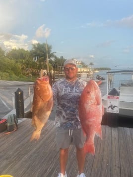 American Red Snapper / Red Grouper Combo