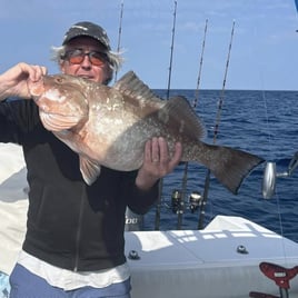 Grouper/Snapper 40mi+