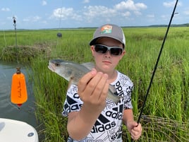 Redfish Fishing in Hilton Head Island, South Carolina