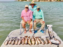 Half Day Private Bay Fishing Trip