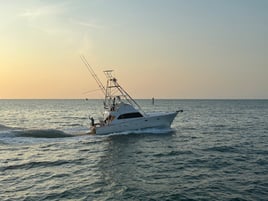 6 Hour Key West Sportfishing Adventure