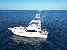 1/2 Day Key West Sportfishing