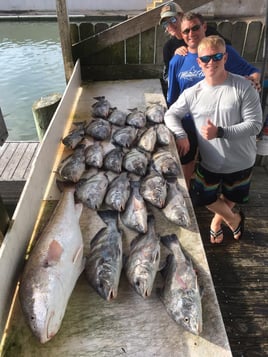 Great Galveston Bay Trips