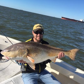 Great Galveston Bay Trips