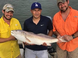 Great Galveston Bay Trips