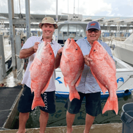 Luxury Snapper Fishing