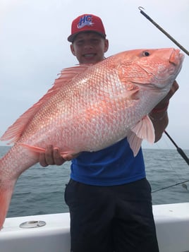 Luxury Snapper Fishing