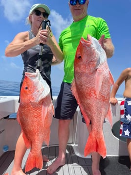 Luxury Snapper Fishing