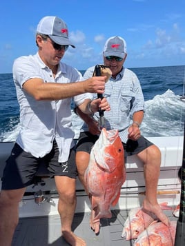 Luxury Snapper Fishing