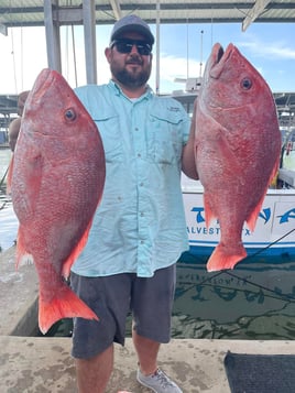 Luxury Snapper Fishing