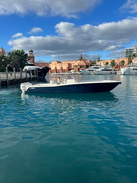 Luxury Snapper Fishing