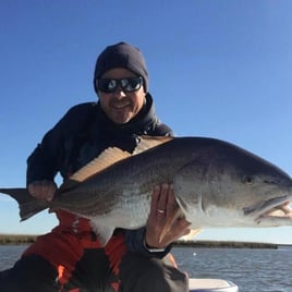 Poisson Redfish on the Fly