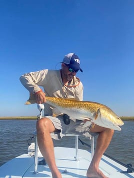 Poisson Redfish on the Fly