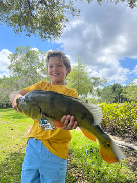 Shoreline Peacock Bass Fishing Charter