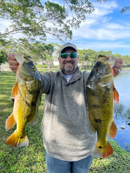 Shoreline Peacock Bass Fishing Charter