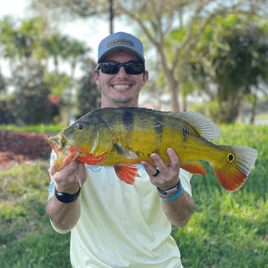 Shoreline Peacock Bass Fishing Charter