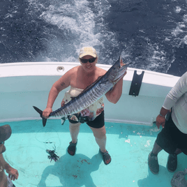 Trolling Trip - Mahi Wahoo Billfish