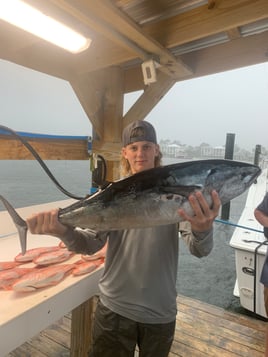 Ocean Cat 4hr Afternoon Trolling