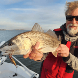 Backwater Sightfishing,  Fly/Spin