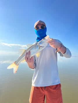 Snook Fishing in Islamorada, Florida