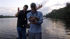 Marsh Flats on Toledo Bend