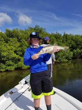 Tampa Bay Inshore Roundup