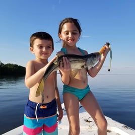 Tampa Bay Inshore Roundup