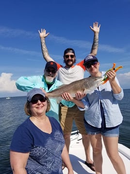 Tampa Bay Inshore Roundup