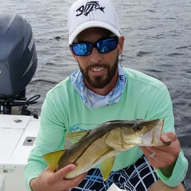 Tampa Bay Inshore Roundup