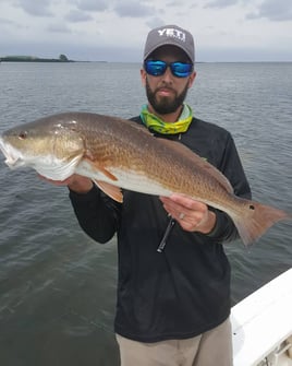 Tampa Bay Inshore Roundup