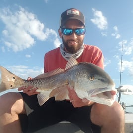 Tampa Bay Inshore Roundup