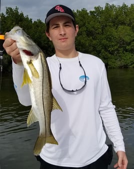 Tampa Bay Inshore Roundup