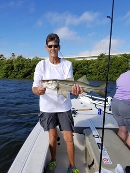 Tampa Bay Inshore Roundup