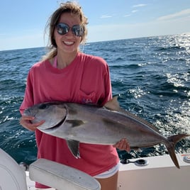 Inshore Gulf Fishing Frenzy