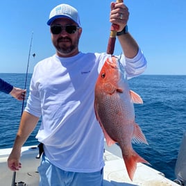 Inshore Gulf Fishing Frenzy