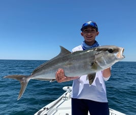 Inshore Gulf Fishing Frenzy