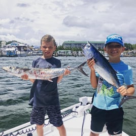 Inshore Gulf Fishing Frenzy